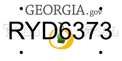 RYD6373 Georgia License Plate