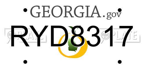 RYD8317 Georgia License Plate