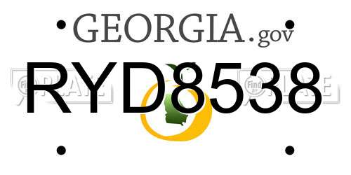 RYD8538 Georgia License Plate