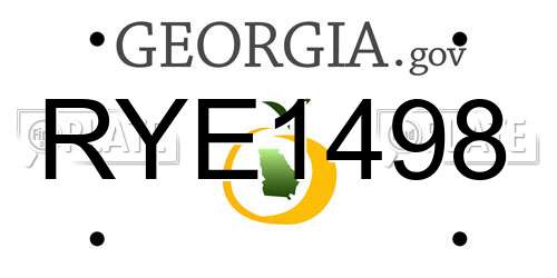 RYE1498 Georgia License Plate