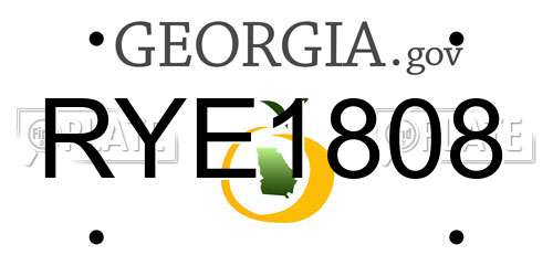 RYE1808 Georgia License Plate