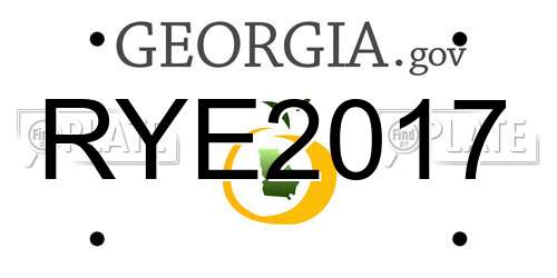 RYE2017 Georgia License Plate