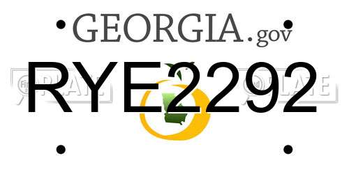 RYE2292 Georgia License Plate