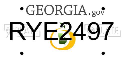 RYE2497 Georgia License Plate