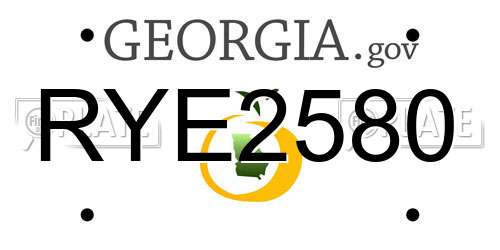 RYE2580 Georgia License Plate