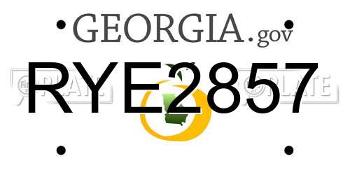 RYE2857 Georgia License Plate