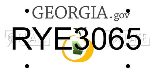 RYE3065 Georgia License Plate