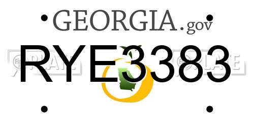 RYE3383 Georgia License Plate