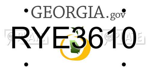RYE3610 Georgia License Plate
