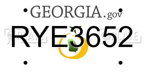 RYE3652 Georgia License Plate