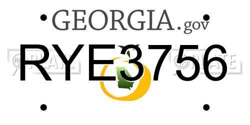 RYE3756 Georgia License Plate