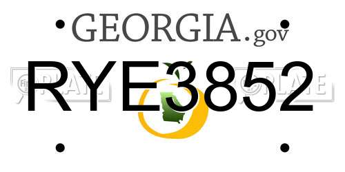 RYE3852 Georgia License Plate