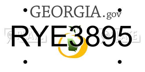 RYE3895 Georgia License Plate