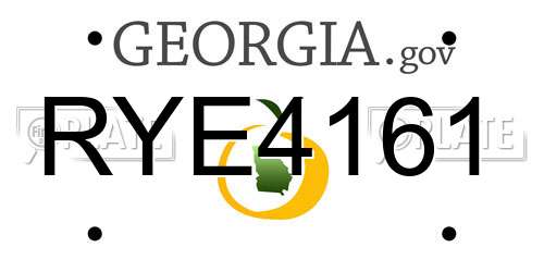 RYE4161 Georgia License Plate