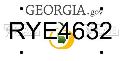 RYE4632 Georgia License Plate