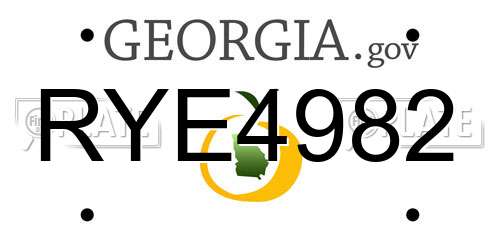 RYE4982 Georgia License Plate