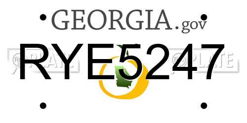 RYE5247 Georgia License Plate