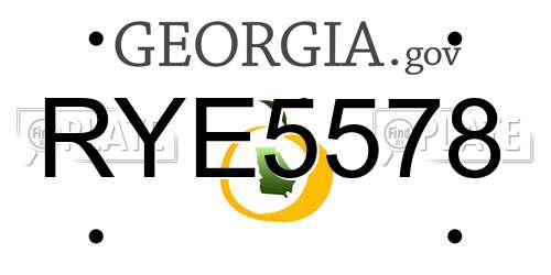 RYE5578 Georgia License Plate