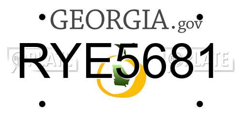 RYE5681 Georgia License Plate