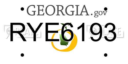 RYE6193 Georgia License Plate