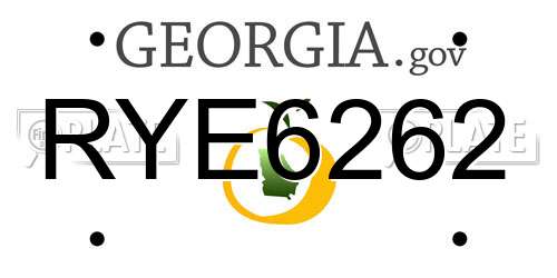 RYE6262 Georgia License Plate