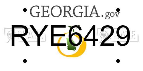 RYE6429 Georgia License Plate