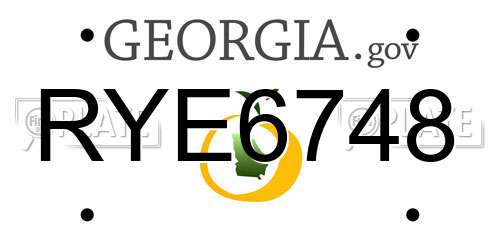RYE6748 Georgia License Plate