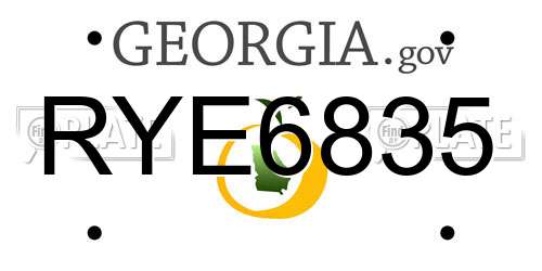 RYE6835 Georgia License Plate