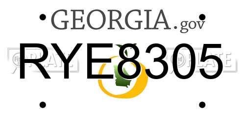 RYE8305 Georgia License Plate