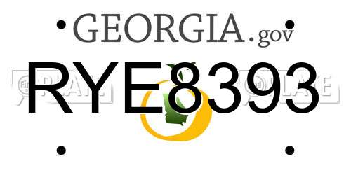 RYE8393 Georgia License Plate