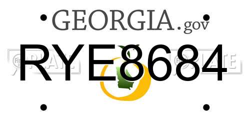 RYE8684 Georgia License Plate