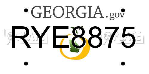 RYE8875 Georgia License Plate