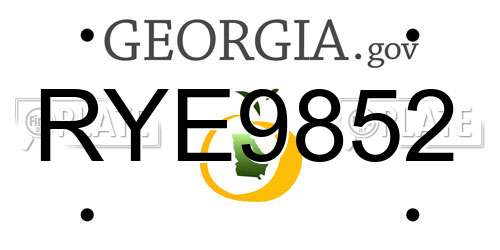 RYE9852 Georgia License Plate