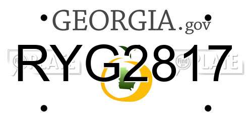 RYG2817 Georgia License Plate