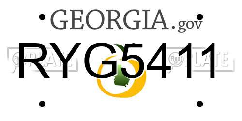 RYG5411 Georgia License Plate