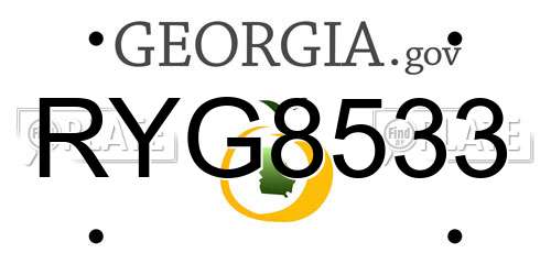 RYG8533 Georgia License Plate