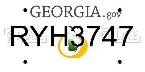 RYH3747 Georgia License Plate