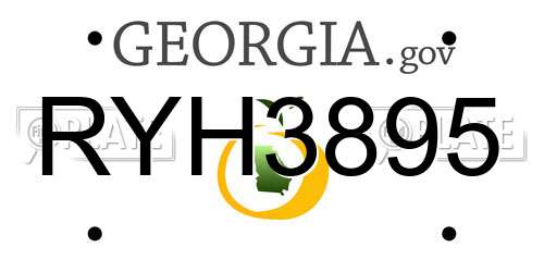 RYH3895 Georgia License Plate
