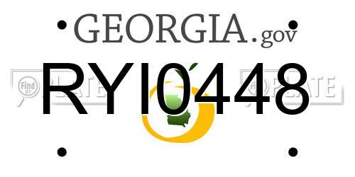 RYI0448 Georgia License Plate