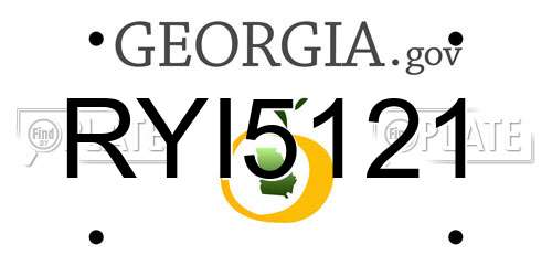 RYI5121 Georgia License Plate