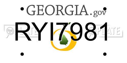 RYI7981 Georgia License Plate