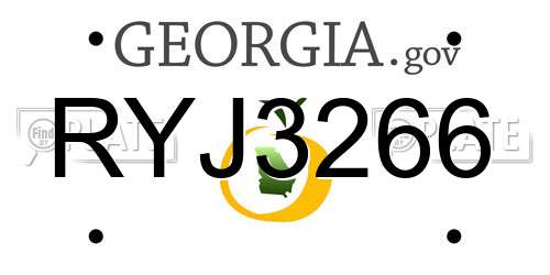 RYJ3266 Georgia License Plate