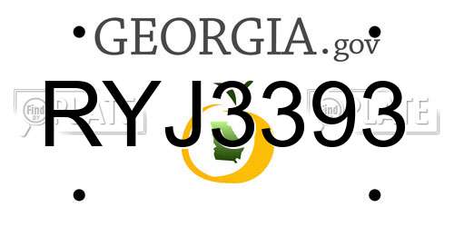 RYJ3393 Georgia License Plate
