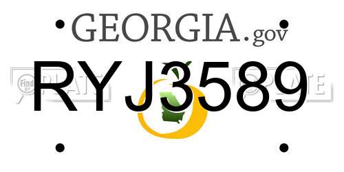 RYJ3589 Georgia License Plate