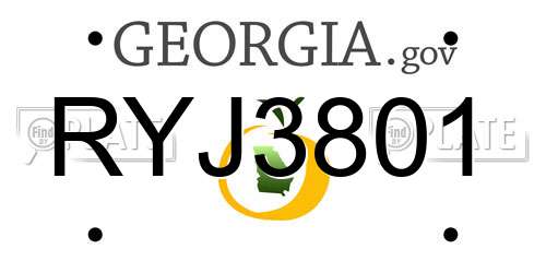 RYJ3801 Georgia License Plate