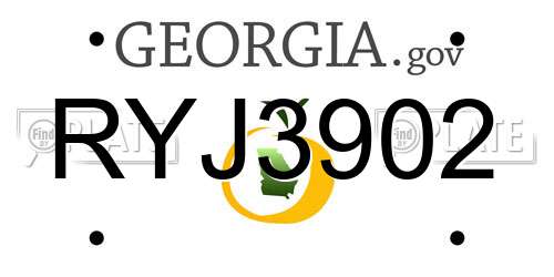 RYJ3902 Georgia License Plate