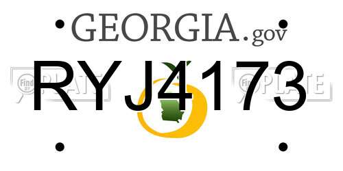 RYJ4173 Georgia License Plate