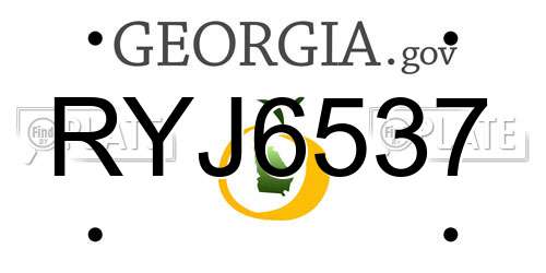 RYJ6537 Georgia License Plate