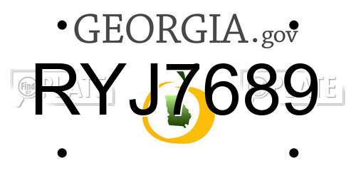 RYJ7689 Georgia License Plate
