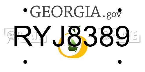 RYJ8389 Georgia License Plate